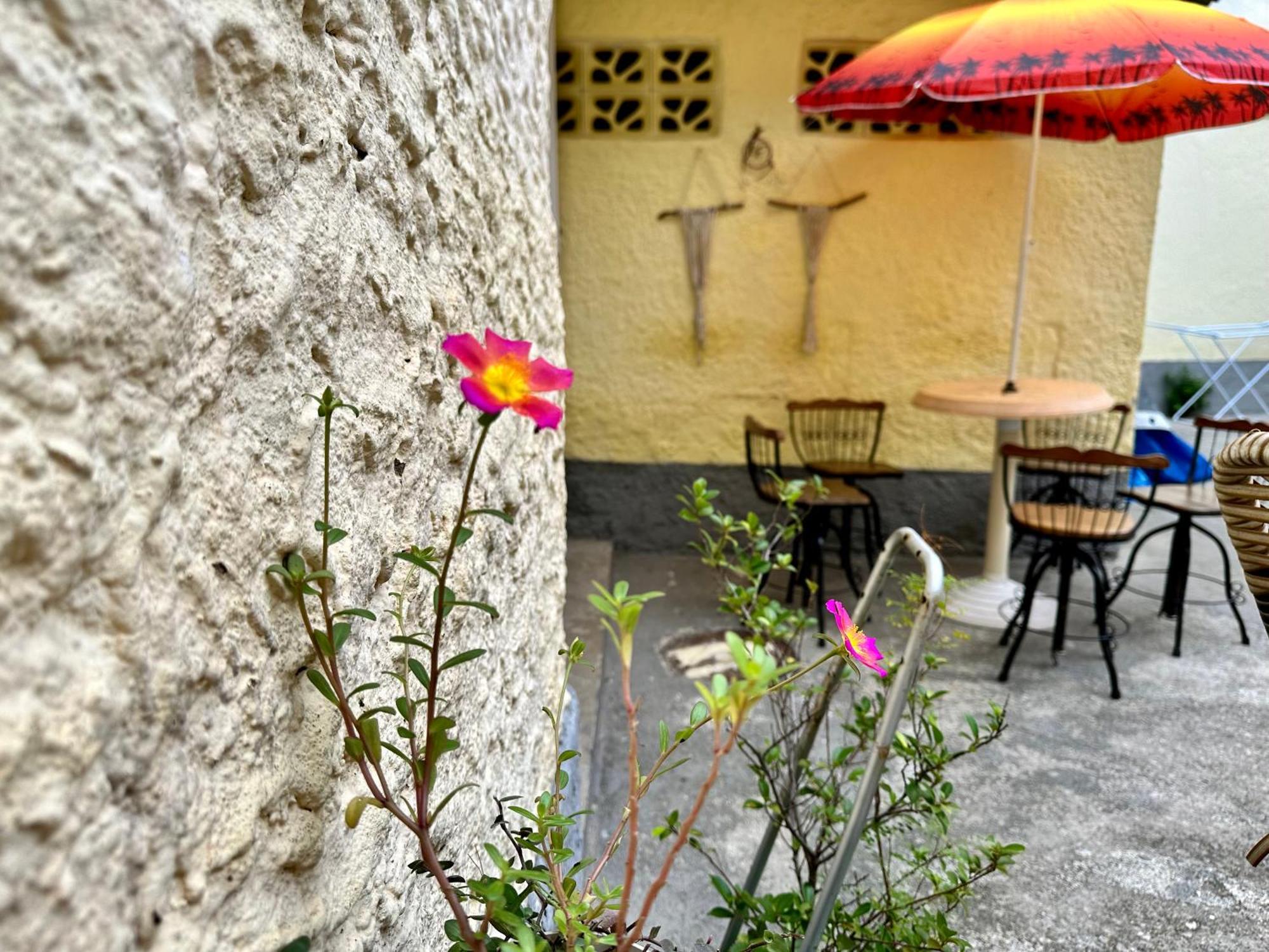 Homestay Casinha Tropical リオデジャネイロ エクステリア 写真
